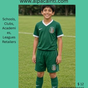 Mexico soccer club uniform